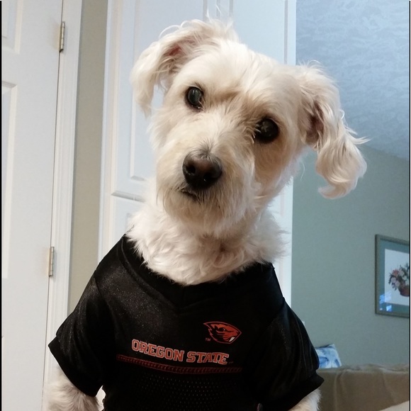 Meet the Posher Other - Meet your Posher, Penni